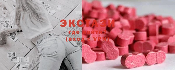 ECSTASY Богородицк