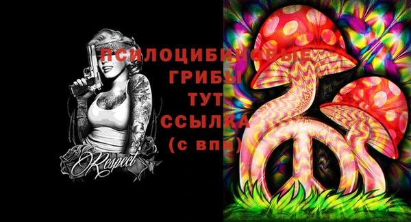 прущая мука Белокуриха